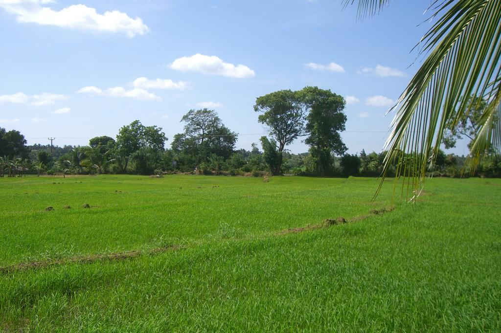 Risenlak Holiday Resort Polonnaruwa Exterior photo